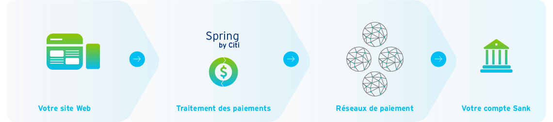 Votre site Web; Traitement des paiements; Réseaux de paiement; Votre compte Sank