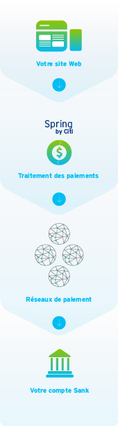 Votre site Web; Traitement des paiements; Réseaux de paiement; Votre compte Sank