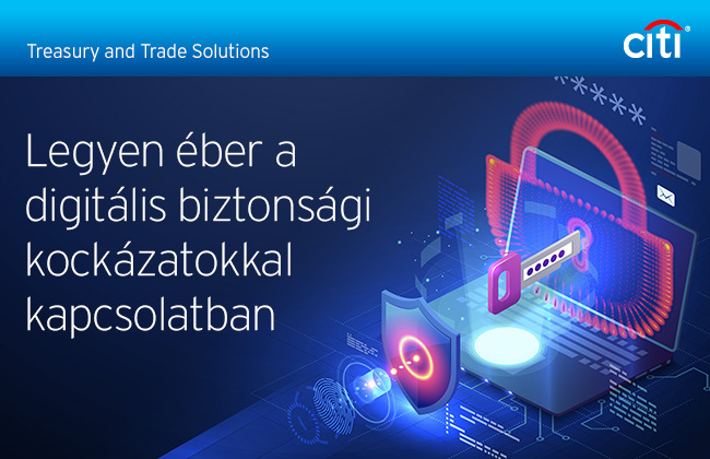 Citi&reg; Treasury and Trade Solutions | Legyen &eacute;ber a digit&aacute;lis biztons&aacute;gi kock&aacute;zatokkal kapcsolatban