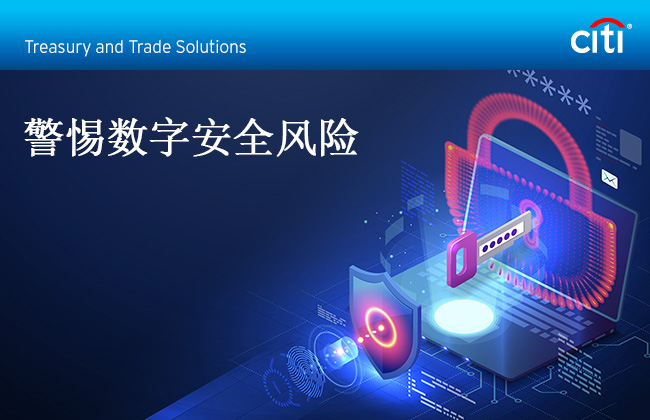 Citi&reg; Treasury and Trade Solutions | 警惕数字安全风险