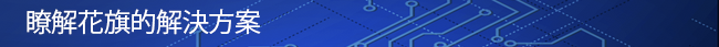 瞭解花旗的解決方案