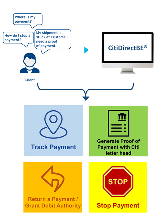 With Citi Payment Insights