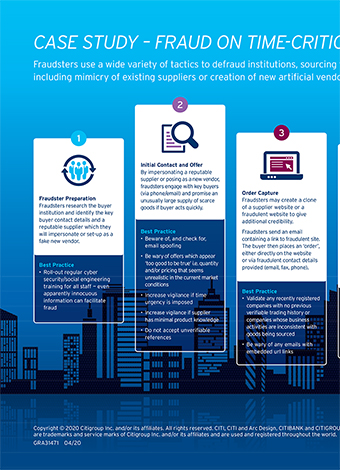 Case Study: Fraud on Time Critical Procurement