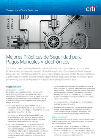 Mejores Prácticas de Seguridad para Pagos Manuales y Electrónicos