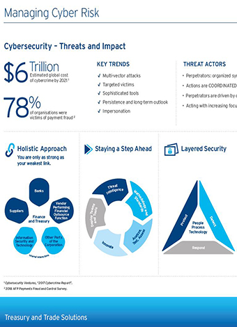 Managing Cyber Risk