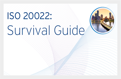 ISO 20022: Survival Guide