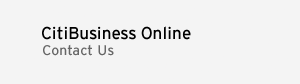 citibusiness online citibusiness online